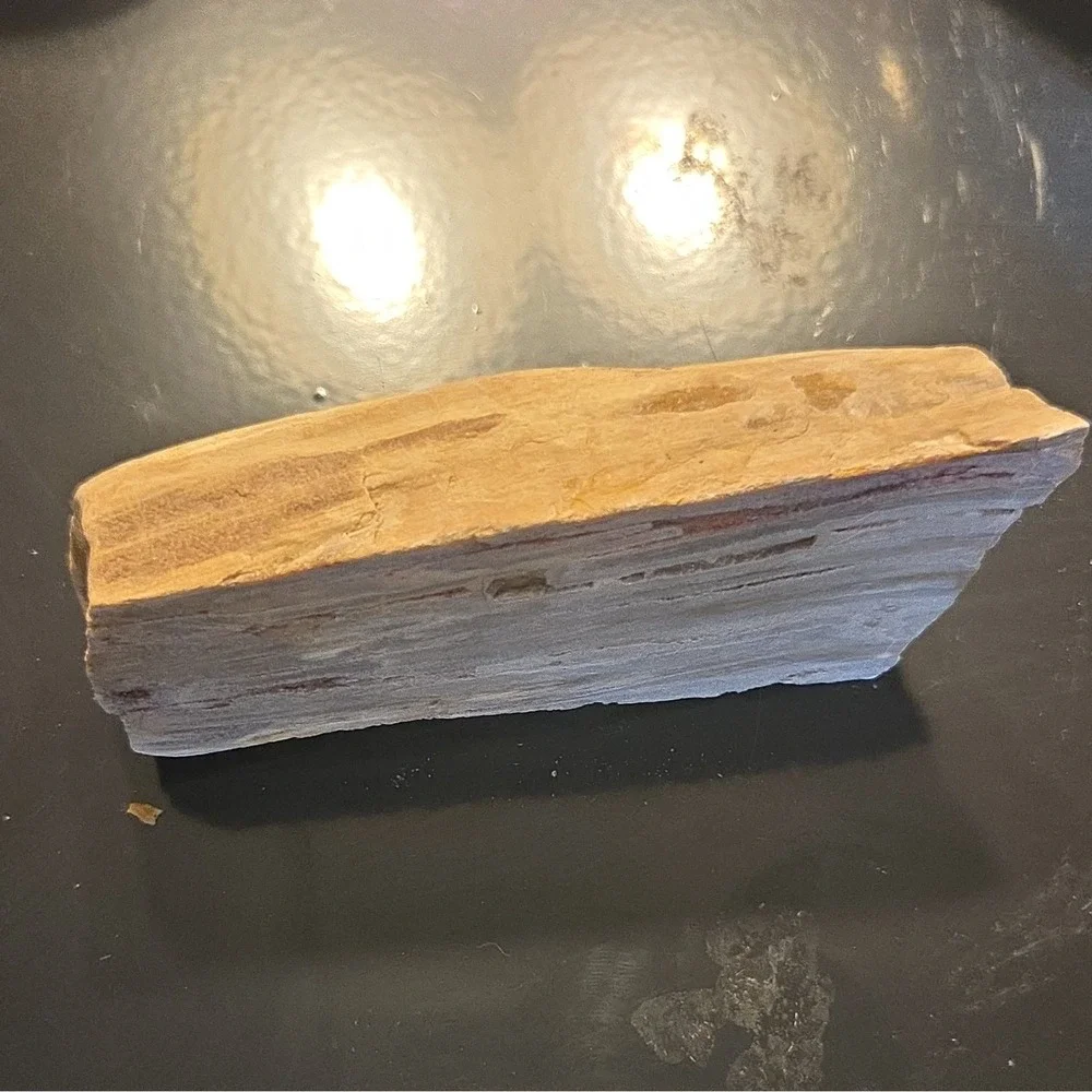 Petrified Wood Fossil Polished Specimen Approx 4 in 216g